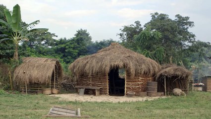 TO FALL OFF THE HORSE Documentary Movie