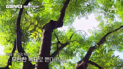 [선공개] 사주에서 UDT 리더는? 반란을 일으킬 수 있는 강한 사주 서열 1위 육준서