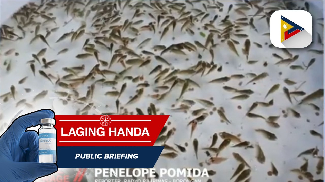 Mahigit 300-K libong piraso ng tilapia fingerlings, ipinagkaloob ng BFAR sa mga mangingisda sa Eastern Samar