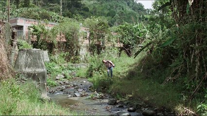 MEMORIA Movie Trailer -  Tilda Swinton