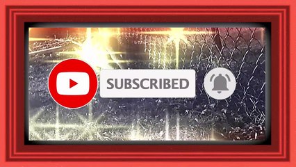 Cat in back yard in B and W l pets and animals l Film and animation