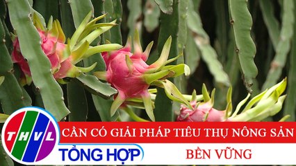 Chuyên đề kinh tế: Cần có giải pháp tiêu thụ nông sản bền vững