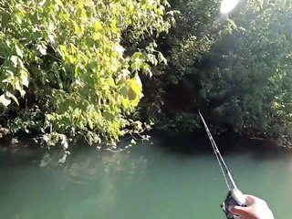 MANCING IKAN LELE TERBESAR DI DUNIA DI SUNGAI AMAZON