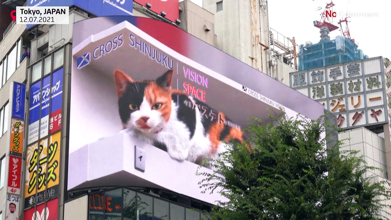 Riesenkatze in Tokio schnurrt Passanten an