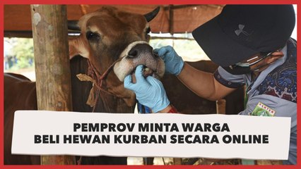 COVID-19 Masih Meroket, Warga Diimbau Beli Hewan Kurban Lewat Daring