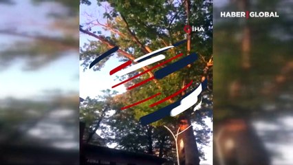 Asırlık ağacın kırılan dalı faciaya neden oluyordu! İşte o anlar