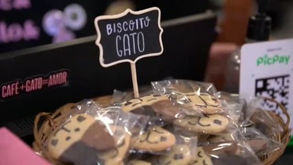 El paraíso del café y de los gatos en Río de Janeiro