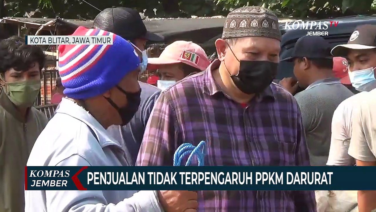 Tidak Terdampak PPKM Darurat, Penjualan Kambing Meningkat Jelang Idul Adha