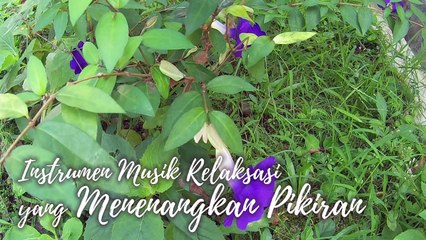 #23 Instrumen Musik Relaksasi yang Menenangkan Pikiran