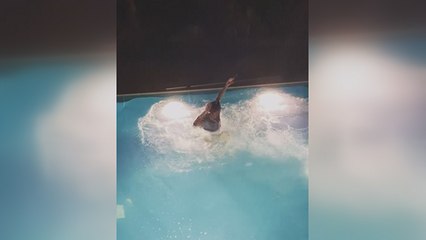 Danilo İtalya'nın şampiyonluğunu böyle kutladı