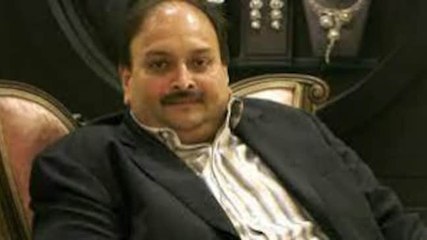 Download Video: Dominican court grants Mehul Choksi bail on medical grounds