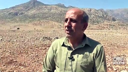 Cudi Dağı ceylanlara yuva oldu