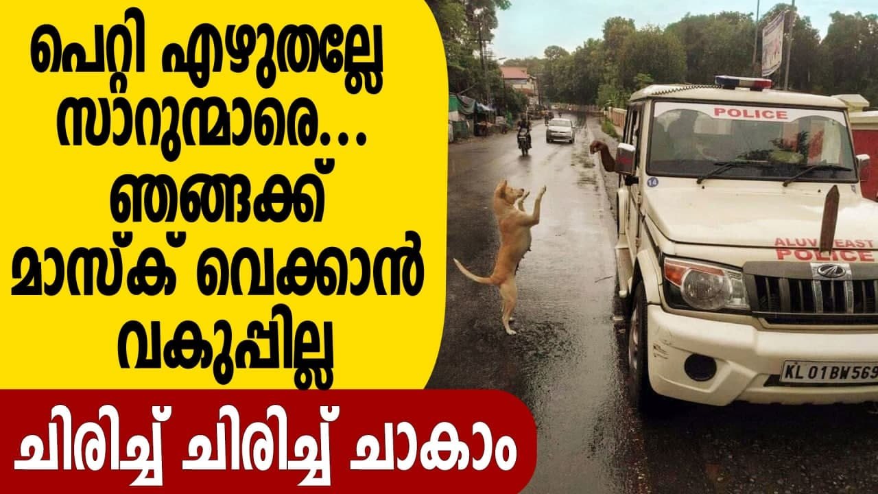 Street dog saluting Kerala police | Oneindia Ma...