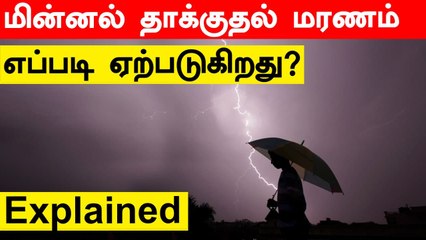 India-வில் அதிகரிக்கும் மின்னல்  தாக்குதல் மரணம்.. எந்த மாநிலத்தில் அதிகம் தெரியுமா?
