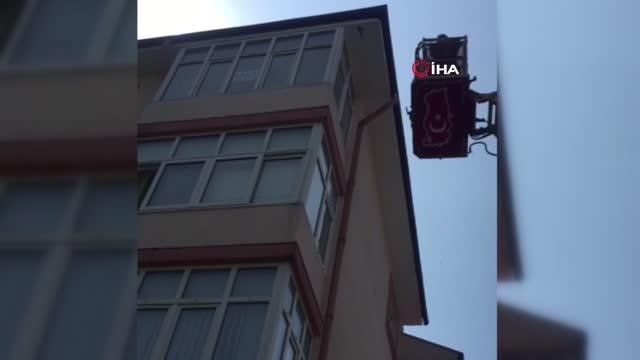 Son dakika haberi: Çatıda ipe takılan ebabil kuşunu itfaiye ekipleri kurtardı
