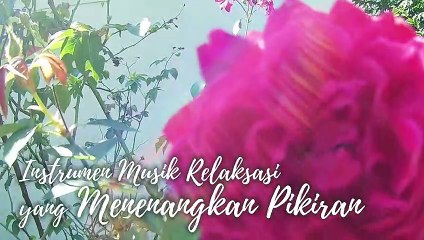 #27 Instrumen Musik Relaksasi yang Menenangkan Pikiran