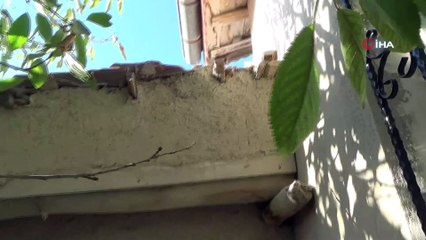 Konya'daki Büyükşen çifti cinayetinde 24 gözaltı