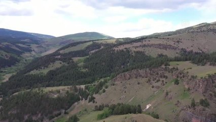"Doğanın çöpçüsü" akbabalar, yuvada yavrularıyla görüntülendi
