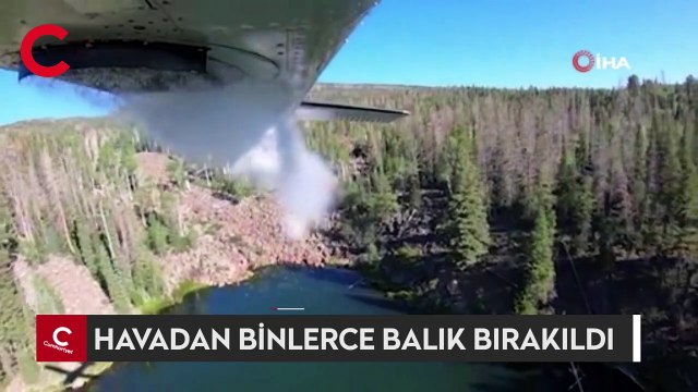 ABD’de göllere havadan binlerce balık bırakıldı