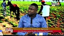 Cri de cœur: Pourquoi le Président Macky Sall doit virer le ministre de l’agriculteur, selon les paysans sénégalais