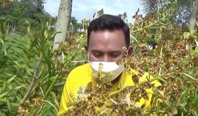 เรื่องพลบค่ำ ช่วงที่ 1 วันอังคารที่ 13 ก.ค.64