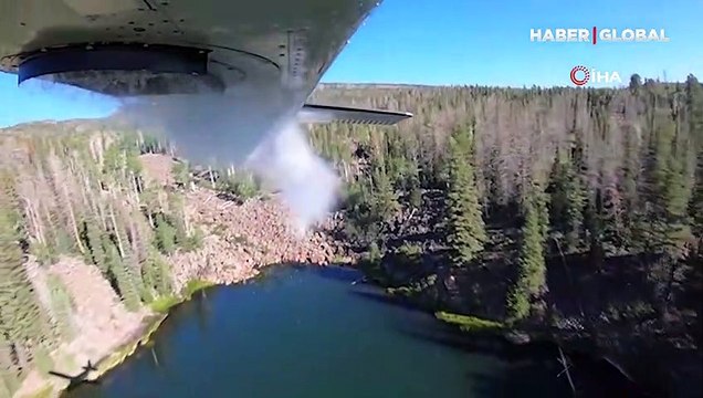 ABD'de havadan göllere balık bıraktılar