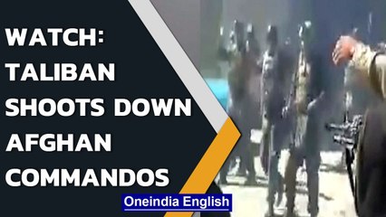 Video: Taliban members allegedly shoot down 22 Afghan commandos in Faryab | Watch | Oneindia News