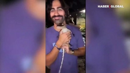 Timsahla tehlikeli hareketler! Öperken burnundan oluyordu