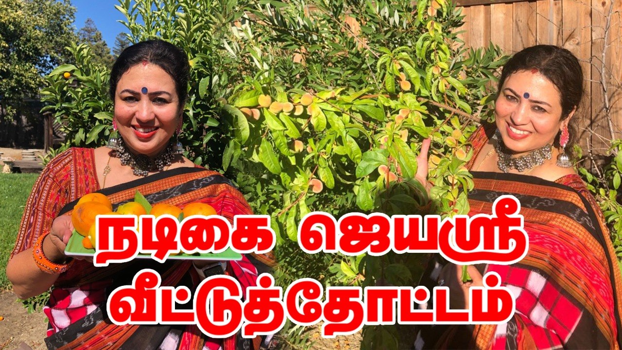 நடிகை ஜெயஶ்ரீ America வீட்டுத்தோட்டம் | Actress Jayashree Home garden