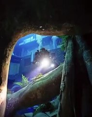 Découvrez la piscine la plus profonde du monde qui se trouve à Dubaï - VIDEO