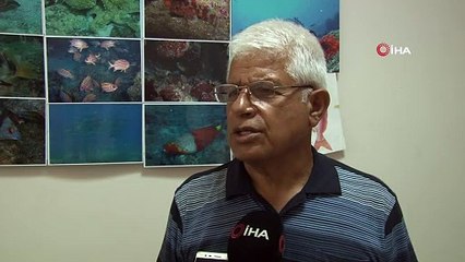 "Dünyadaki 600-700 Akdeniz foku sayısının dörtte üçü Yunanistan ile Türkiye kıyılarında yaşıyor"