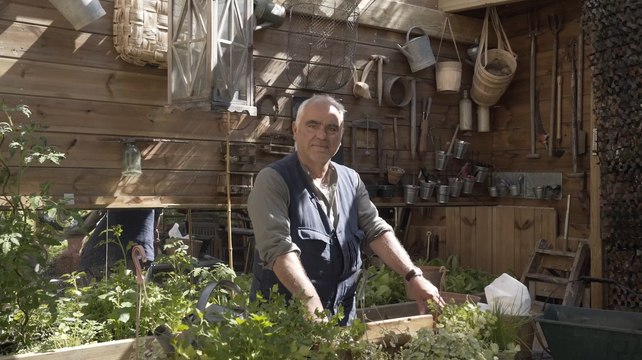 Basilic, thym, ciboulette... Comment installer des plantes aromatiques dans une jardinière ?