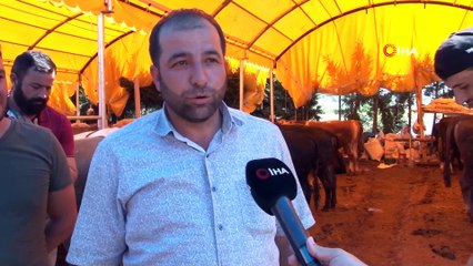 Aşılanma hızlandı, kurban pazarlarında tokalaşma geri geldi