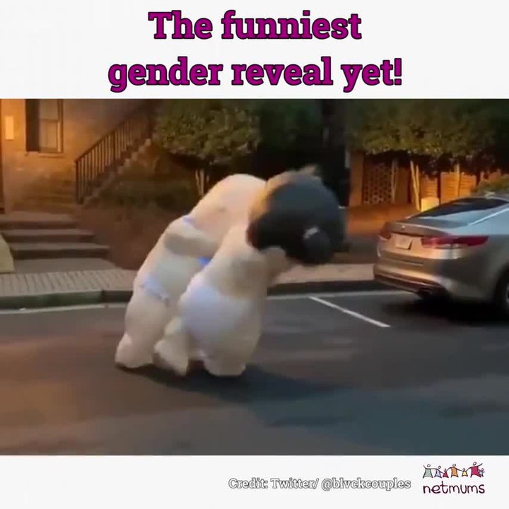 The funniest gender reveal yet