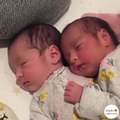 Adorable twins cuddling