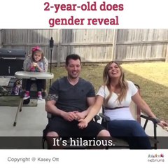 2-year-old does gender reveal