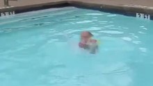 Incredible swimming baby
