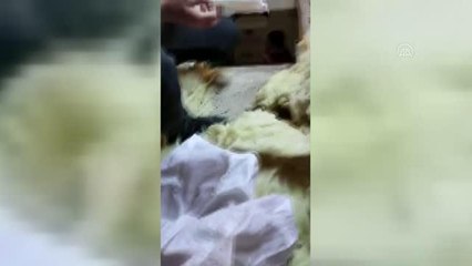 DİYARBAKIR - Tabutta ve eski okul binasında 7 silah ile mühimmat ele geçirildi