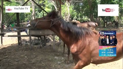 ทึ่งทั่วโลก ชุด The Asia Hunter ตอน หมู่บ้านจัดงานศพในรอบ30ปี ตอน2