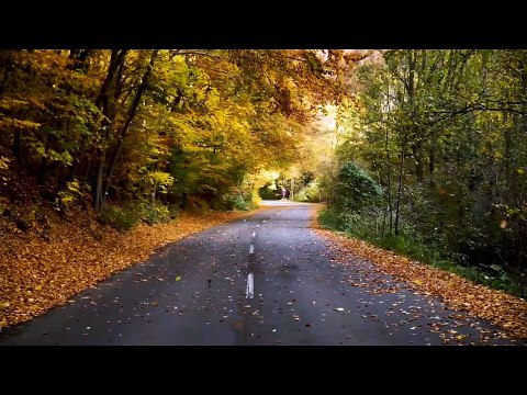 Relaxing Flute Music, Good morning music, Calming Music, Flute Music, Relax, Flute, Spa, relaxing☯