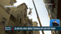 Jelang Idul Adha, Sapi-Sapi Kurban Diturunkan dari Atap Rumah