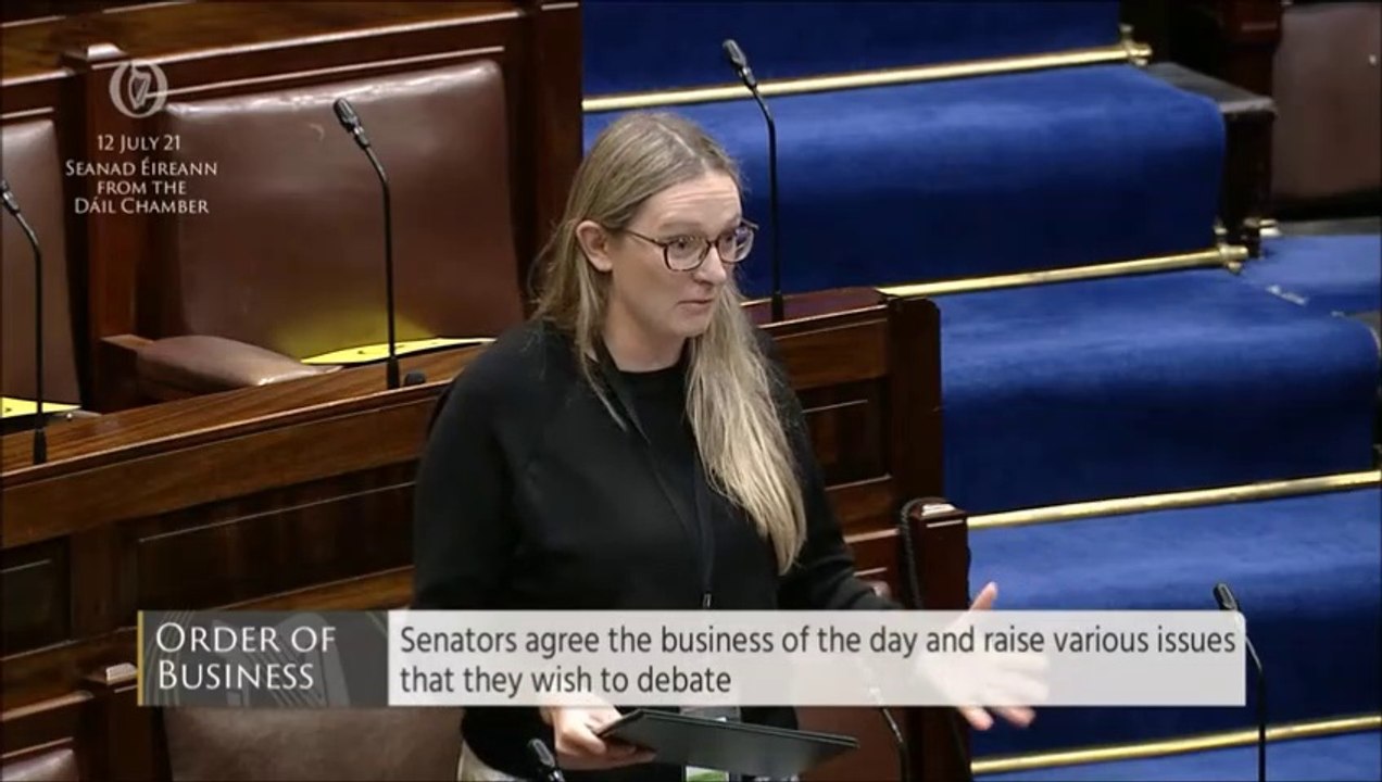 Senators wish Orange Order and supporters safe and happy July 12 but lament burning of Irish symbols on bonfires