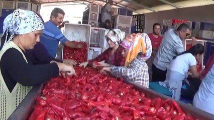 Pandemide kadın işsizliği arttı