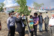Son Dakika | 15 Temmuz şehitlerinin isimleri Erzincan'da hatıra ormanında yaşatılacak