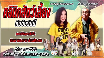พยาธิหนอนหัวใจ อันตรายถึงตายถ้าไม่ป้องกัน : FM91 คลินิกสัตว์เลี้ยง : 24 ตุลาคม 2563