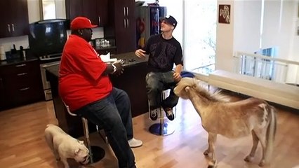 Rob & Big S02 The Best of Season 2