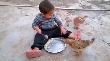 Yemeğini tavuklara kaptıran çocuk