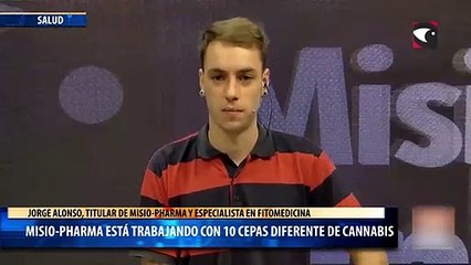 Misio-Pharma está trabajando con 10 cepas diferente de cannabis