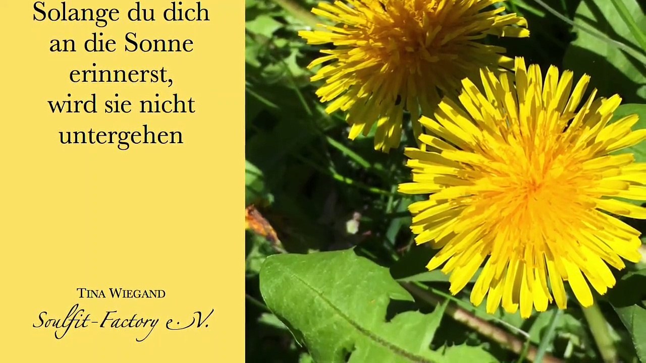 Persönlichkeiten im Soulfit Factory e.V.