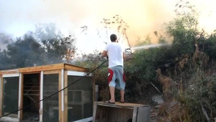 Son dakika haberi: Bodrum'da makilik ve otluk alanda çıkan yangın söndürüldü
